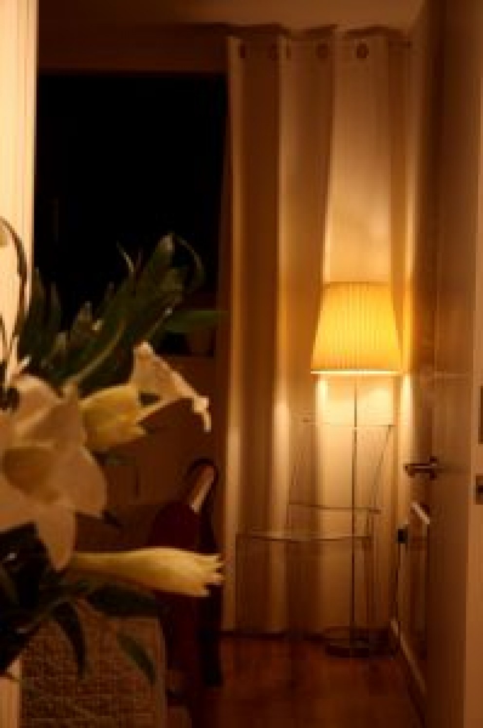 London Apartment | Guest suites | Interior Designers